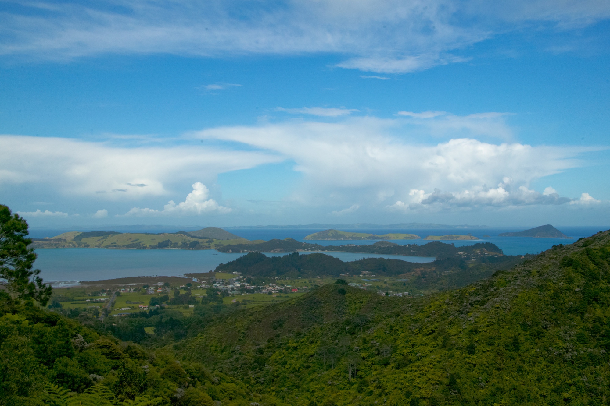 Landschaft der Coromandel Halbinsel